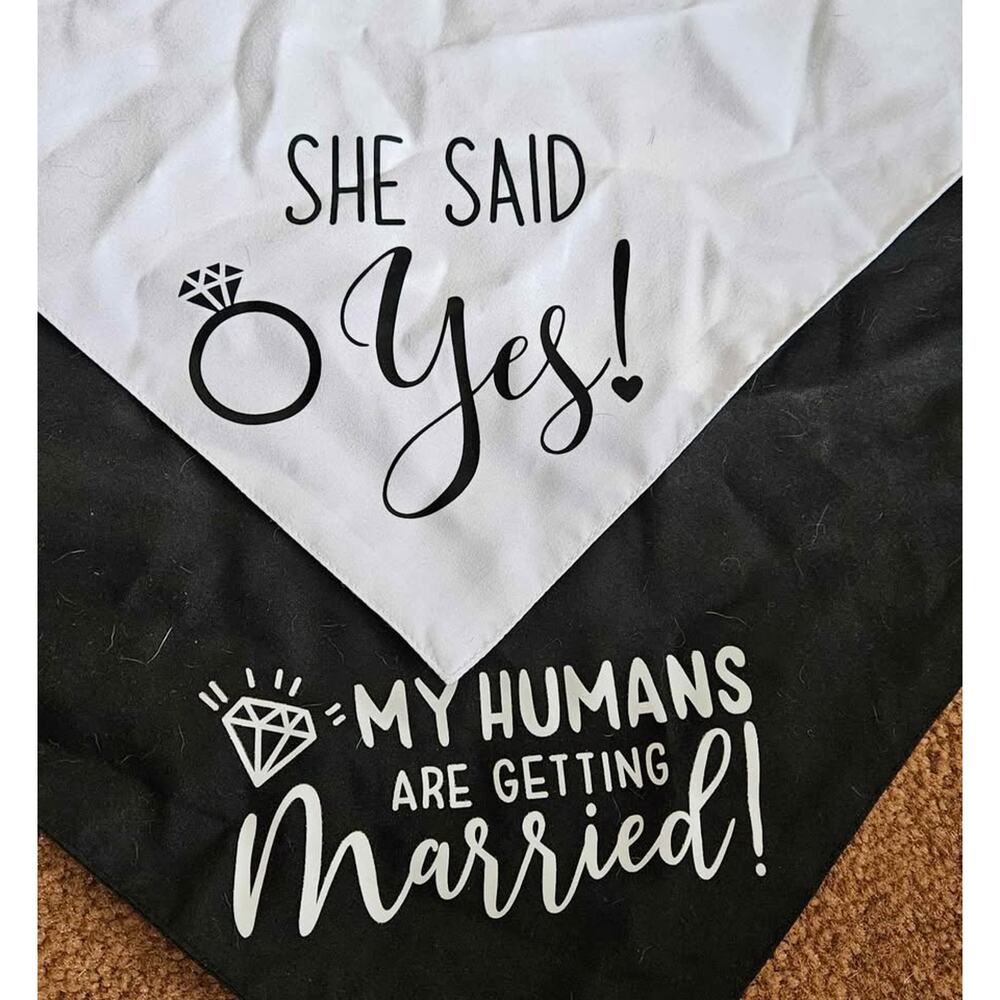 2 Dog Bandanas